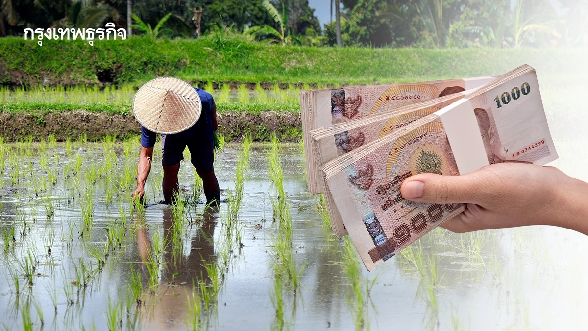 เปิด 3 ช่องทางสร้างเงิน! 'นาเดียวหลายรายได้' ดันข้าวคาร์บอนต่ำ