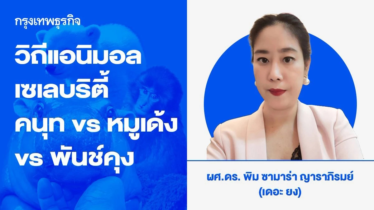 วิถีแอนิมอลเซเลบริตี้  คนุท (Knut) VS หมูเด้ง VS พันช์คุง (Punch-kun) : ไวรัล ไอคอน FC