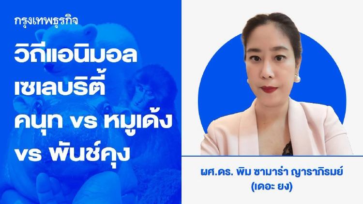 วิถีแอนิมอลเซเลบริตี้  คนุท (Knut) VS หมูเด้ง VS พันช์คุง (Punch-kun) : ไวรัล ไอคอน FC