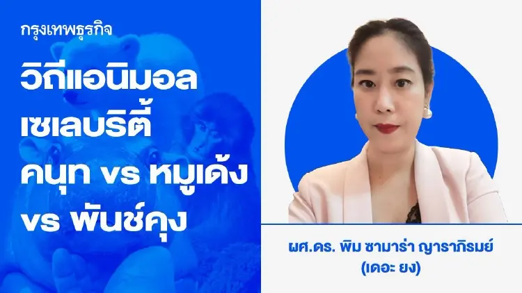 วิถีแอนิมอลเซเลบริตี้  คนุท (Knut) VS หมูเด้ง VS พันช์คุง (Punch-kun) : ไวรัล ไอคอน FC
