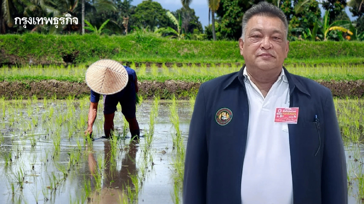 สมาคมชาวนาฯ จี้เกษตรฯ เร่งถก นบข. เคาะมาตรการช่วยชาวนาปี 69