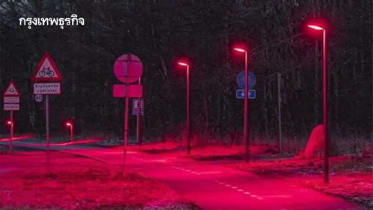 ‘เดนมาร์ก’ เปลี่ยนไฟถนนเป็น ‘สีแดง’ ลดมลภาวะทางแสง ช่วยชีวิตสัตว์กลางคืน