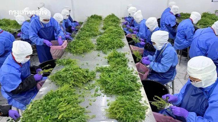 CPF เร่งเครื่อง ‘Partner to Grow’ ปี 4   ดัน SME ใช้ AI ลดต้นทุน เสริมแกร่งซัพพลายเชน