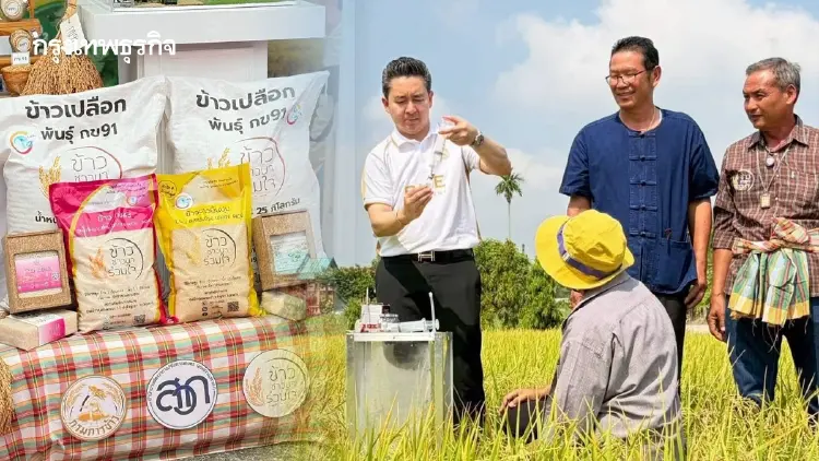 กรมการข้าวชู ข้าวคาร์บอนต่ำ ปลดล็อก 2 เด้ง สร้างรายได้คาร์บอนเครดิต-ฉลากคาร์บอน