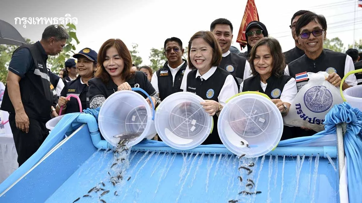 กรมประมงอัดปลา 10 ล้านตัว ปล่อยลงทุ่งบางระกำ สร้างอาชีพรวย