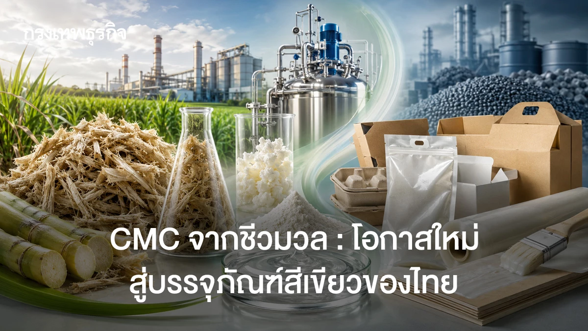Развитие производства CMC из тростниковой щепы в Таиланде позволит снизить импорт сырья на 880 млн бат