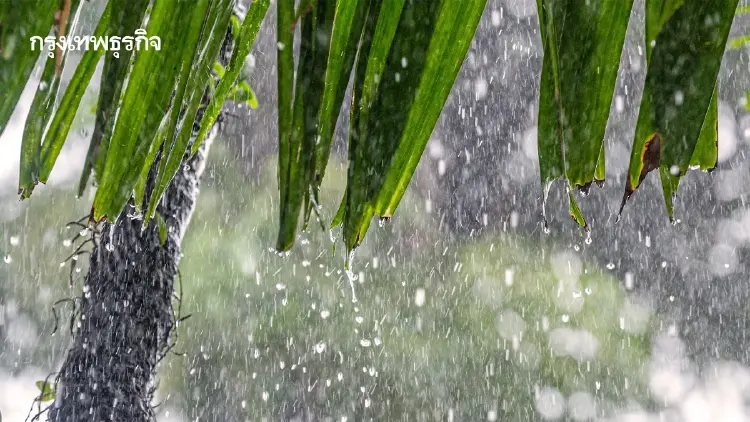 ทั่วไทยตั้งรับฝนระลอกใหม่! เสี่ยงน้ำท่วม-ดินถล่ม 15 - 20 ก.ย.นี้