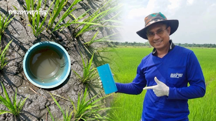 พักขังน้ำ ศูนย์ข้าวอยุธยา หนุนทำนาเปียกสลับแห้ง เซฟน้ำ 30%
