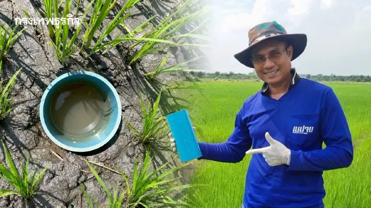 พักขังน้ำ ศูนย์ข้าวอยุธยา หนุนทำนาเปียกสลับแห้ง เซฟน้ำ 30%