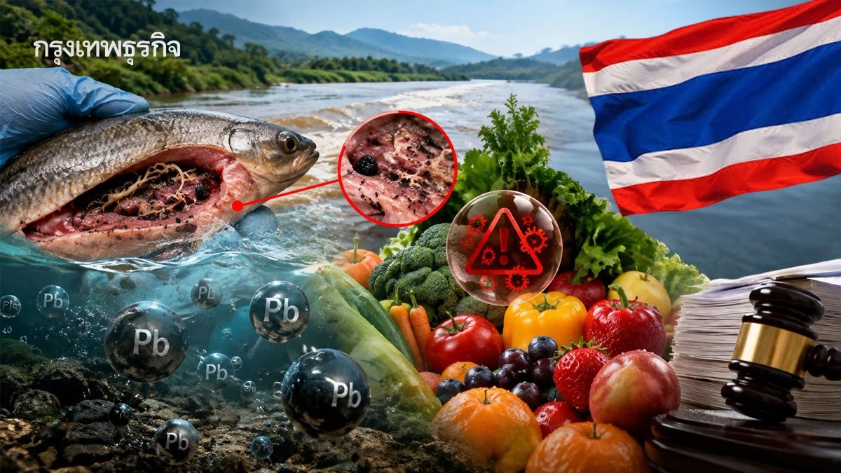 ภัยลุ่มน้ำกก 'ไส้ปลา' ตะกั่วพุ่ง ผักผลไม้ปนเปื้อน 21 ชนิด จี้รัฐเร่งแก้ พ.ร.บ.อาหาร