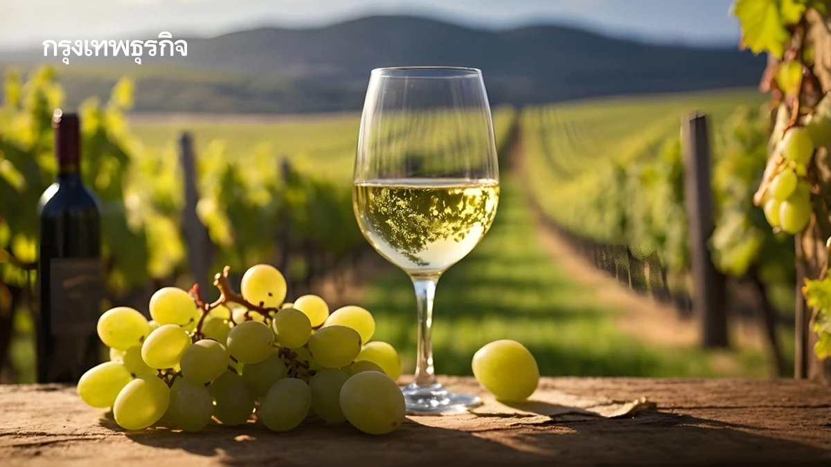 ศิลปะ กาลเวลา และมูลค่า 'Fine Wine' จากคลังใต้ดินสู่สินทรัพย์สุนทรียะ