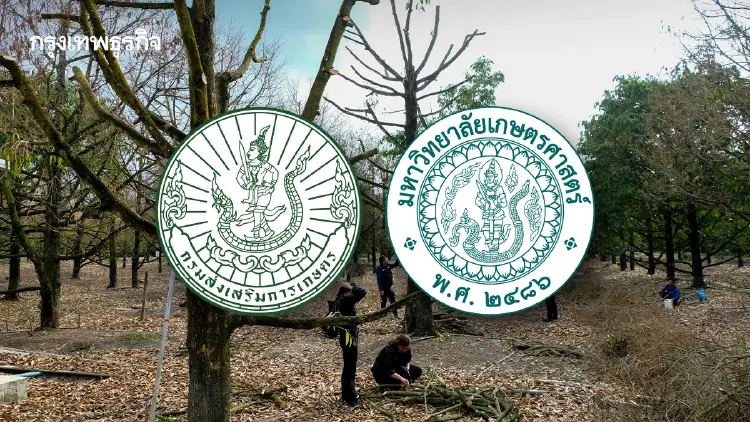 ส่งเสริมการเกษตร ผนึก มก. ลุยไลฟ์ฟื้นฟูพืชหลังน้ำลด 1.8 ล้านไร่