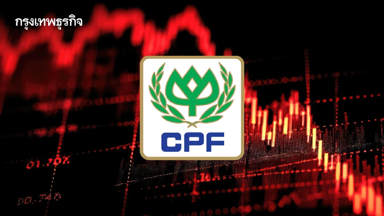 4 หุ้นกลุ่มเนื้อสัตว์กอดคอร่วง CPF นำดิ่ง 5.21% เซ่นพิษราคาหมูฟื้นช้า กดกำไรไตรมาส 3