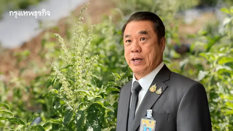 “สุริยะ” สั่งสแกนสิทธิบัตรกะเพรา CPRAM ขีดเส้น 1 สัปดาห์ ยันไม่กระทบคนไทย