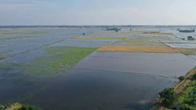 กางแผนกู้น้ำท่วมบางกุ่ม-ท่าวุ้ง คืนพื้นที่ทำนาปรัง 15 พ.ย.นี้