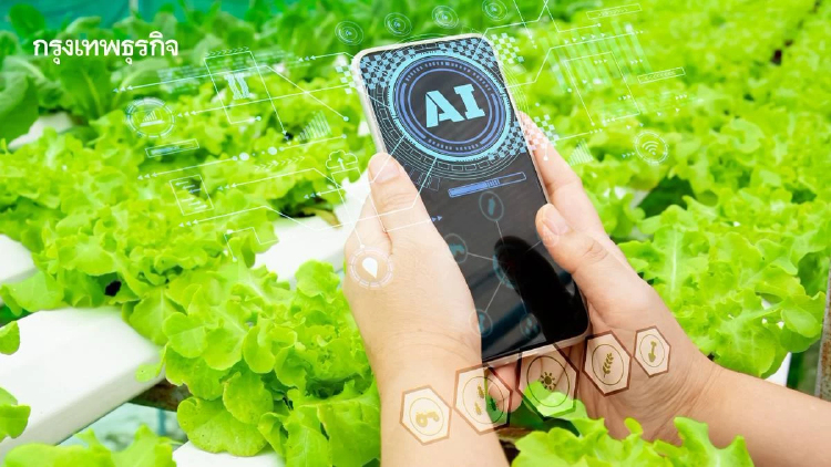 พาณิชย์ เปิดระบบ “ใกล้เก็บเกี่ยว” ใช้ AI เปลี่ยนเกมบริหารสินค้าเกษตร