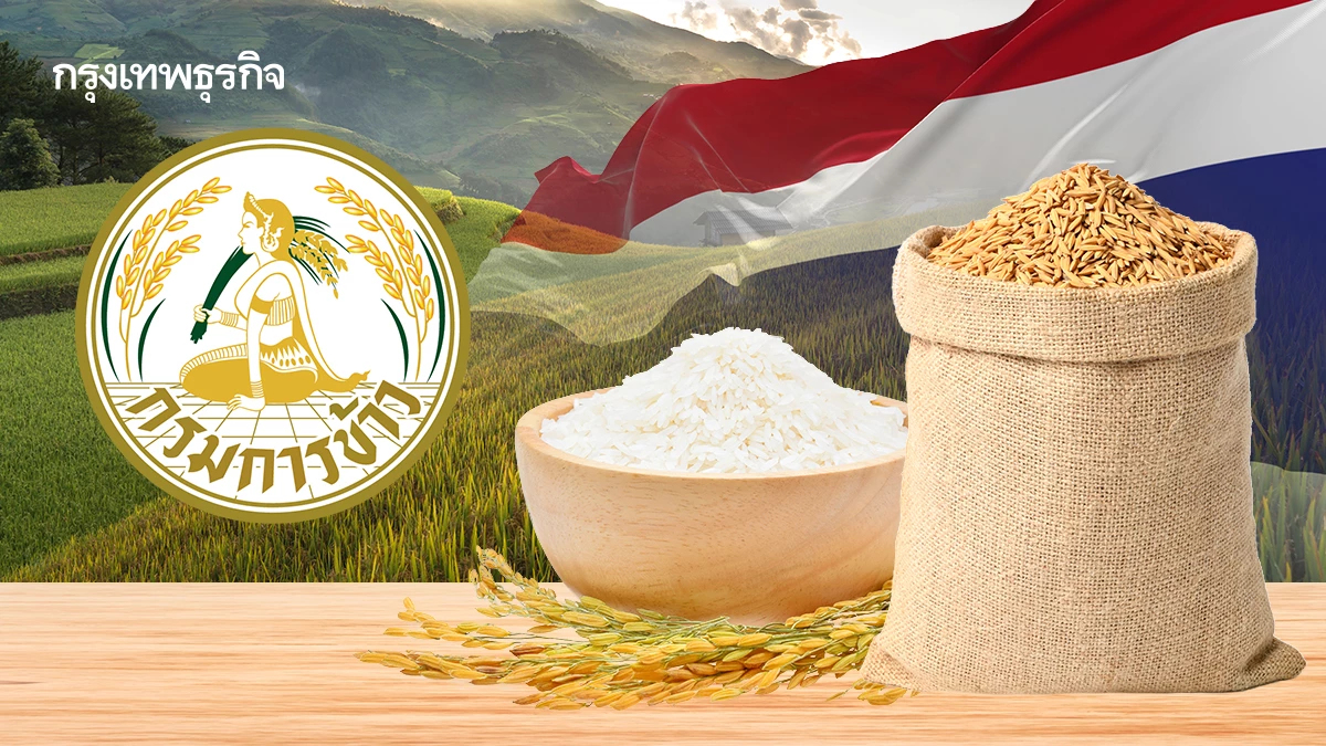 กรมการข้าว เดินหน้าส่งเสริมข้าวพื้นเมืองไทย จัดงาน Thai Local Rice Fest #2