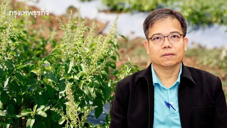 ‘กฎหมายคุ้มครองพันธุ์พืช’ สร้างโอกาส  หนุนงานวิจัย ไม่ใช่ผูกขาด
