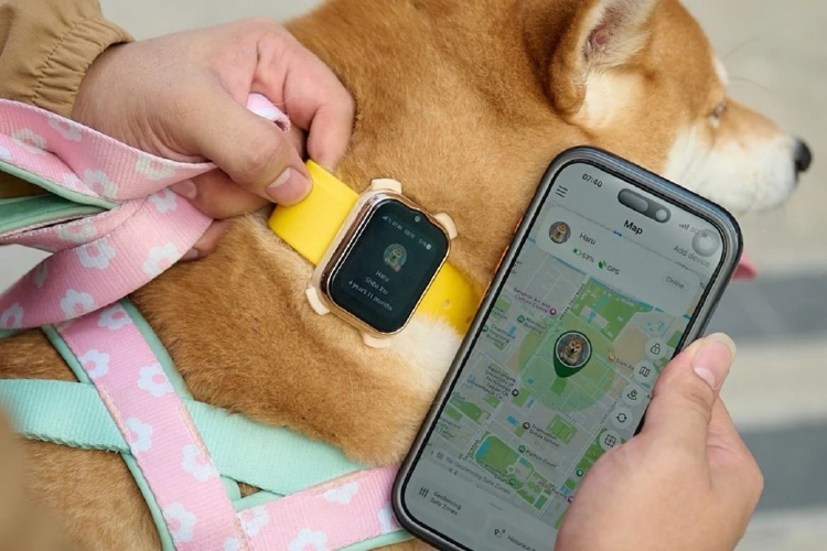 ทาสไม่ต้องตาม! AIS เปิดคัว “มือถือสัตว์เลี้ยง” ตามตัวได้ ดู GPS-วิดีโอคอลเห็นหน้า