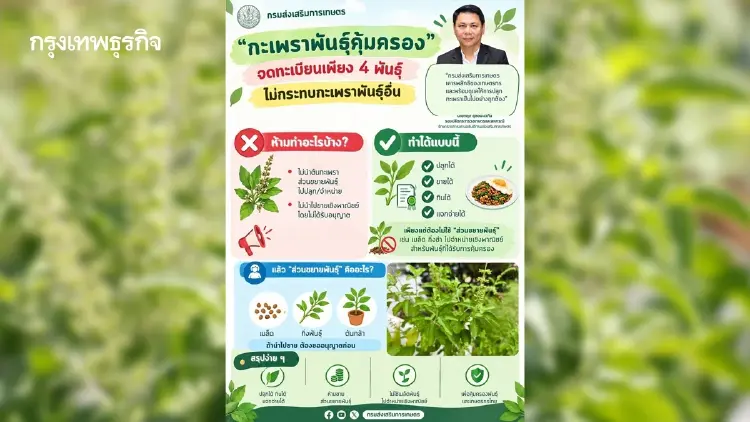 “สุริยะ” สั่งสแกนสิทธิบัตรกะเพรา CPRAM ขีดเส้น 1 สัปดาห์ ยันไม่กระทบคนไทย