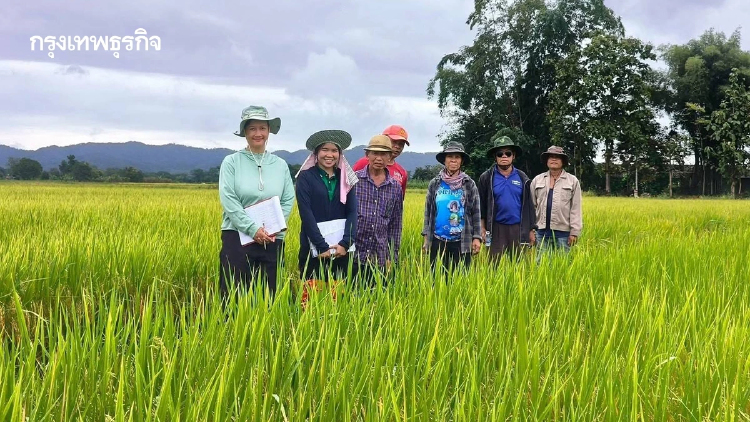 ศูนย์เมล็ดพันธุ์ข้าวพะเยาดันข้าวคุณภาพสูง หนุนสร้างแบรนด์