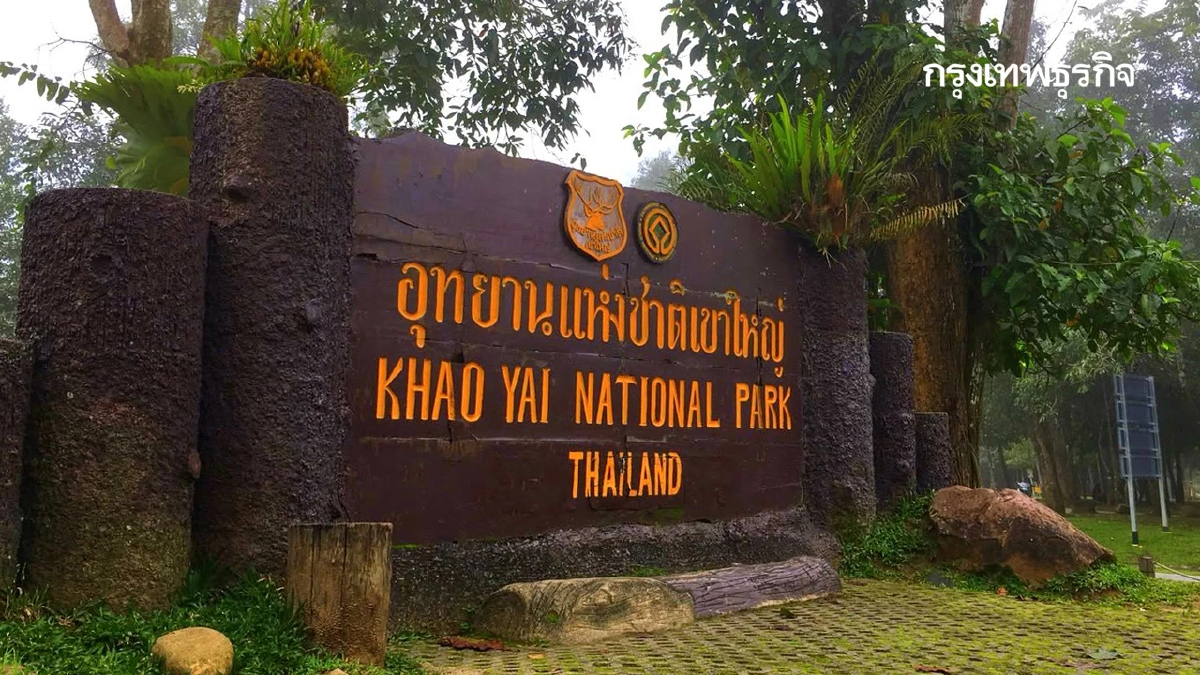 เขาใหญ่ ประกาศเปิดจุดท่องเที่ยว–พักแรม ทุกแหล่ง ตั้งแต่ 6 ต.ค.69