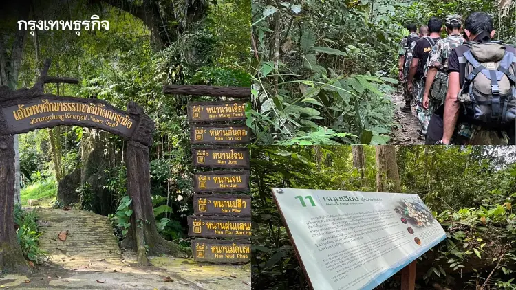 อุทยานฯ เขาหลวง ปิด 'น้ำตกกรุงชิง' 16-31 ต.ค. พบช้างป่าหากินใกล้ทางท่องเที่ยว