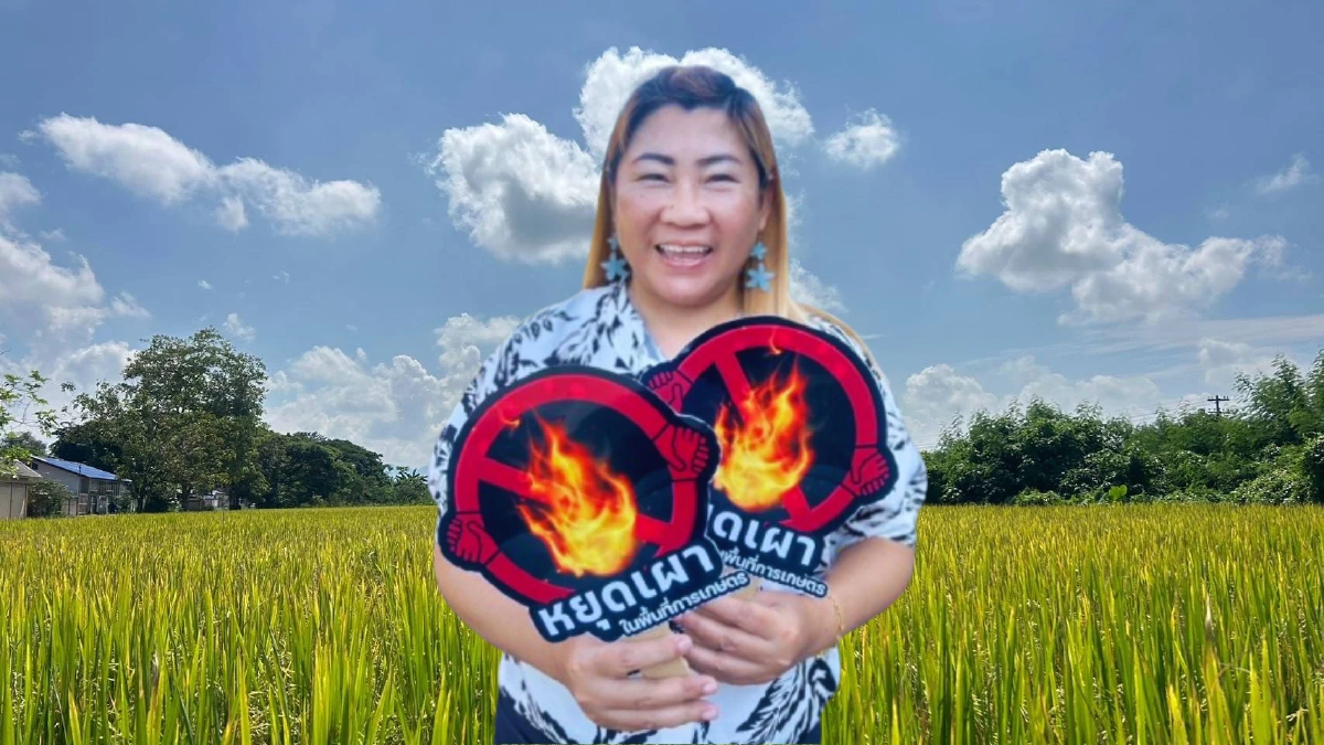 ศูนย์เมล็ดพันธุ์ข้าวลำปาง ดัน ‘ข้าวรักษ์โลก’ ปลดล็อกรายได้พุ่ง 11.9% เซฟต้นทุน 30%