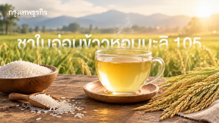 รู้จัก 'ชาใบอ่อนข้าวหอมมะลิ 105' นวัตกรรมข้าว สู่เครื่องดื่มสุขภาพ
