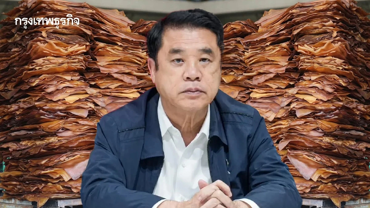 ยางพาราพุ่งทะยาน 40% ‘สุริยะ’ สั่ง กยท. คุมเสถียรภาพยันสิ้นปี