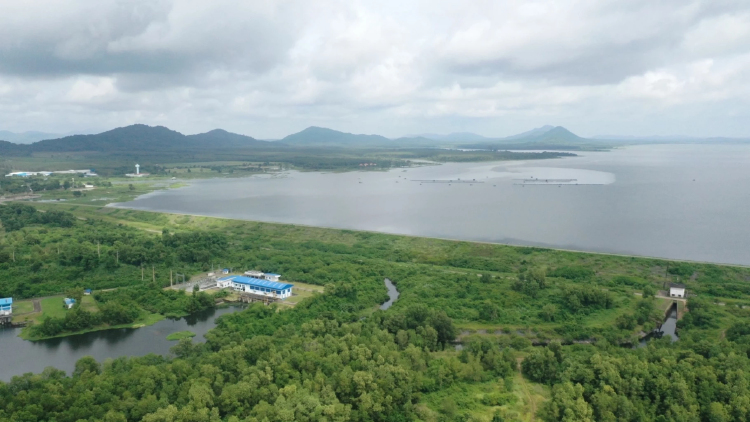 สถานการณ์น้ำล่าสุด 3 เขื่อนใหญ่ EEC น้ำทะลัก 'หนองปลาไหล' เกิน 100%