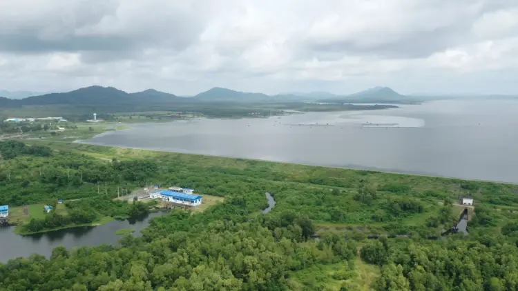 สถานการณ์น้ำล่าสุด 3 เขื่อนใหญ่ EEC น้ำทะลัก 'หนองปลาไหล' เกิน 100%